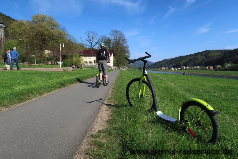 Foto: Elbwiesen Bad Schandau, April 2019