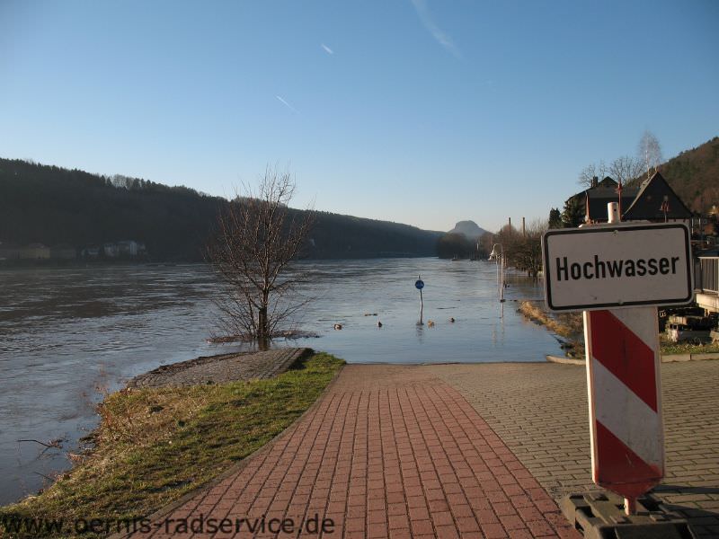 Foto: Elberadweg Postelwitz, Hochwasser Januar 2011